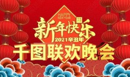 春节爆料视频大全下载,精彩瞬间回顾